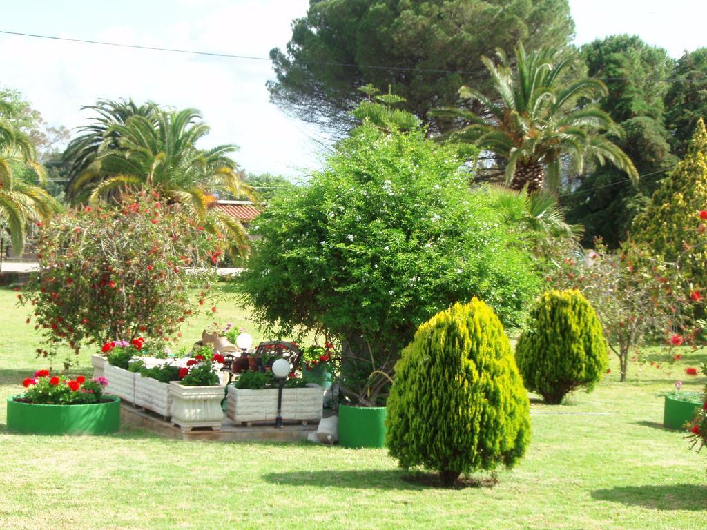 Finikes Studios Kefalonia Сами Экстерьер фото